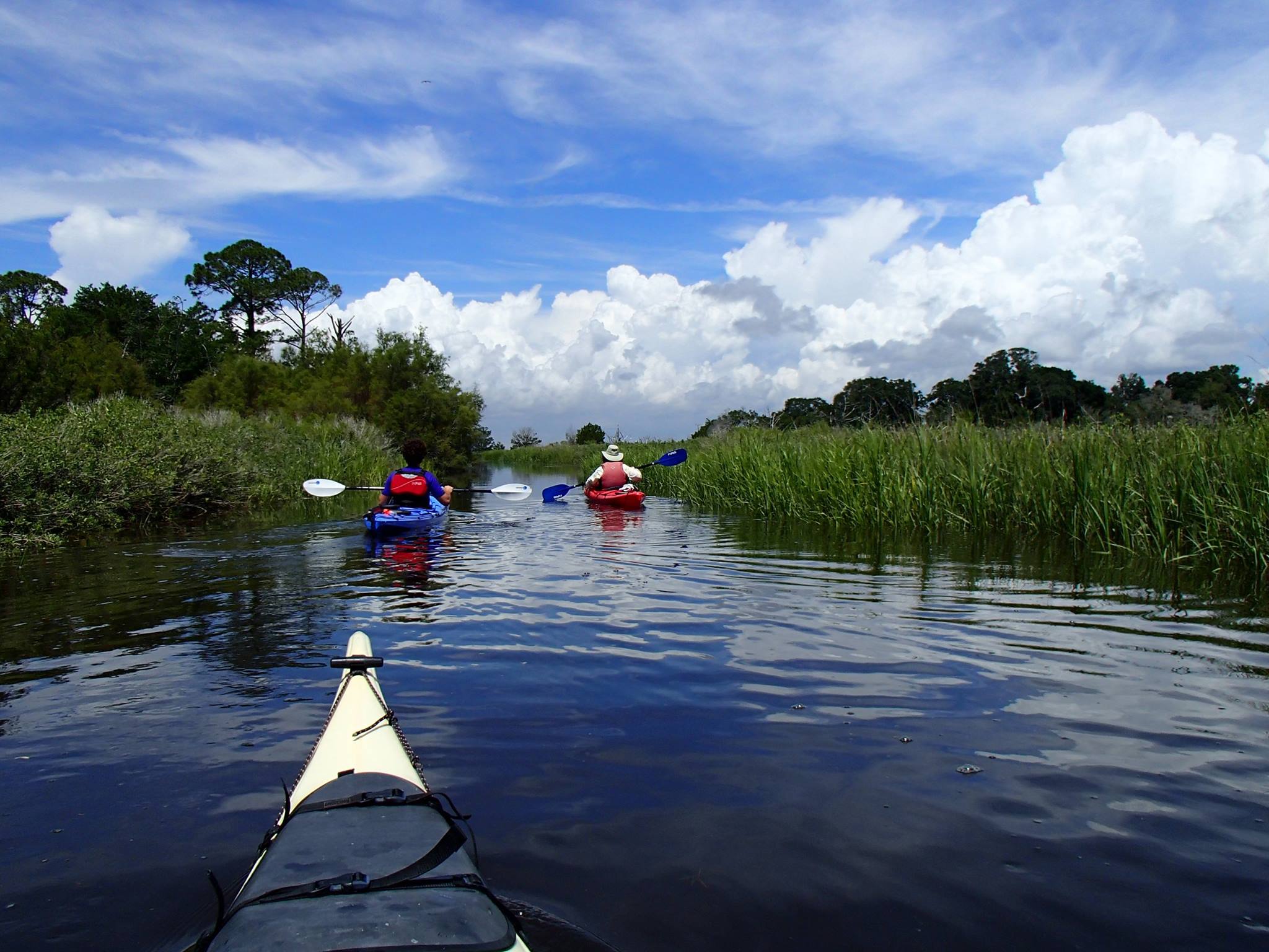 Photo of three people kayaking in a Georgia outdoor area