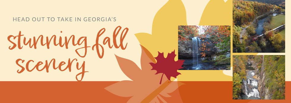 Head out to take in Georgia's Stunning Fall Scenery banner image