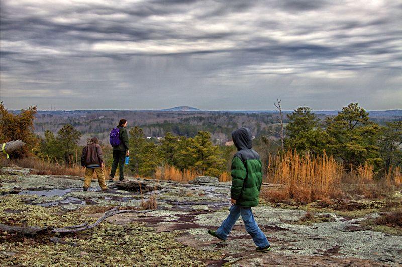 Panola Mountain State Park in Stockbridge