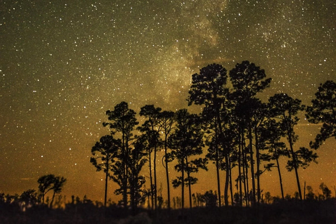 Stephen C. Foster State Park in Fargo is recognized as one of the best spots in the world for star gazing.