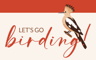Let's go Birding!